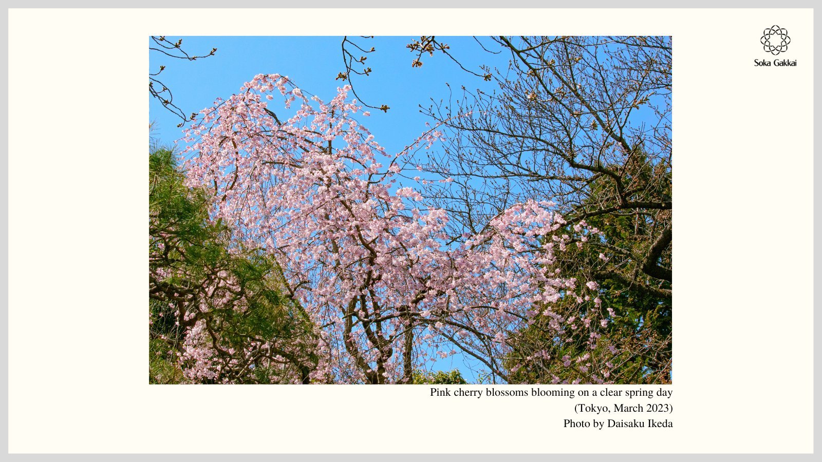 🏞️ 오타카노미치·마스가타노이케 용수군 이미지 8